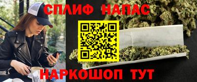 мет Кингисепп