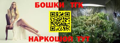 мет Кингисепп