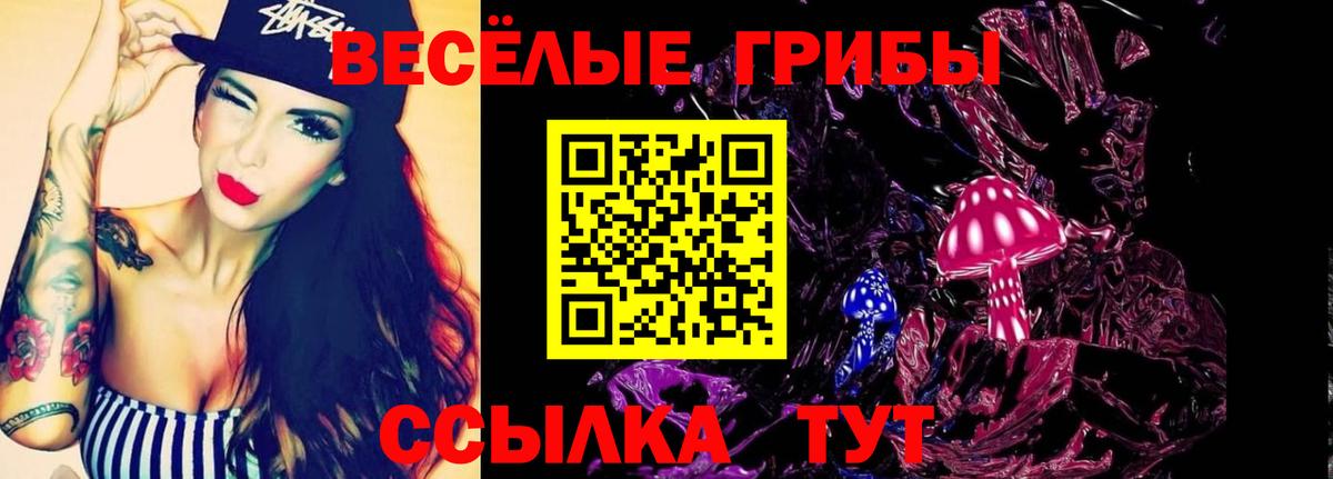 купить   Псилоцибиновые грибы ЛСД  Галлюциногенные грибы GOLDEN TEACHER  Вход с VPN  Коломна 
